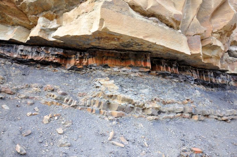 The KT boundary is the 2-3cm white translucent layer below the massive sandstone. This boundary layer is situated just below the top of the coal therefore protectected from errosion. The red staining is oxidation on the coal.